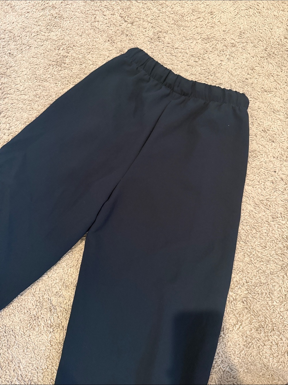 Wilfred Aritzia Lodge Pant - Picture 3 of 3
